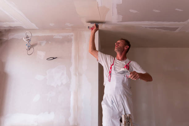 Best Ceiling Drywall Installation  in Goliad, TX